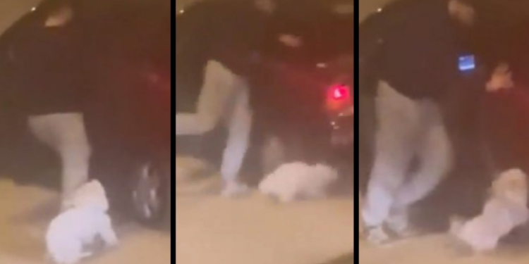 Dehşet Anları Kamerada: Hem Kadına Hem Köpeğe Saldırdı