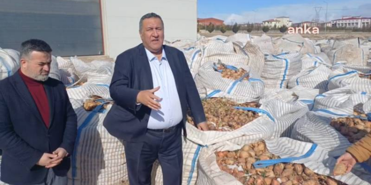 Eksik planlama nedeniyle patates ve soğanlar çöp oldu