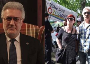 Evet gittim ancak kısa sürede konunun ağaç olmadığını gördüm