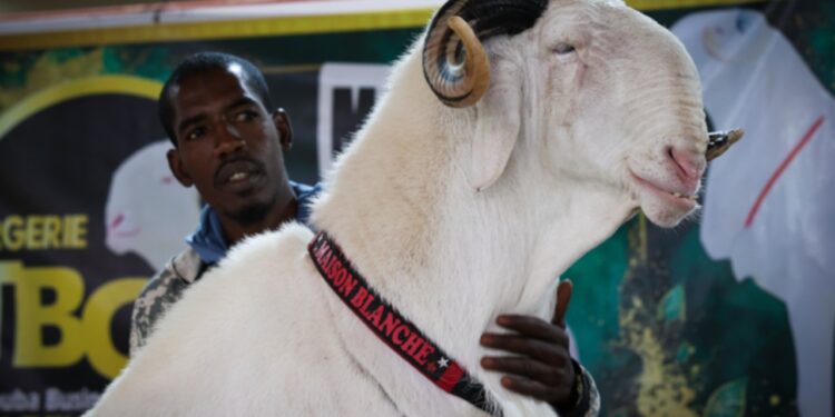 Fiyatı Lüks Otomobille Yarışıyor! Görenler Gözlerine İnanamıyor