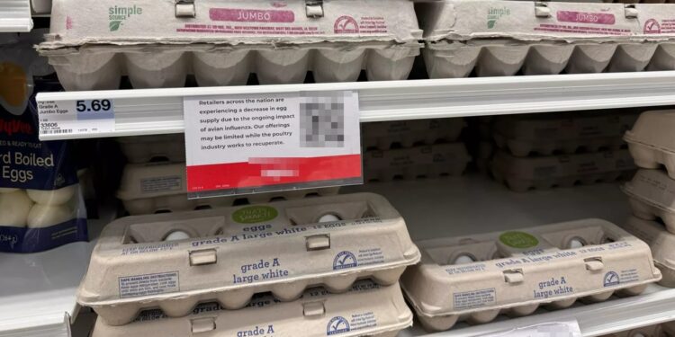 Fiyatlar Yükseldi, Karne ile Satılmaya Başlandı! 'Yumurta Fiyatları'na Önlem: Kesinti Uygulayacak