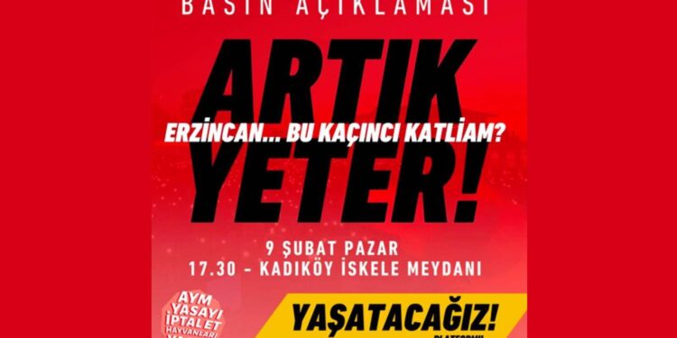 Hayvan hakları savunucularından Erzincan’daki toplu köpek ölümleri için Kadıköy’de eylem çağrısı