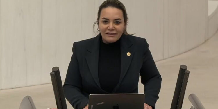 İYİ Partili Ayyüce Türkeş’in ‘Kürtçe’ hakkındaki sözlerine suç duyurusu