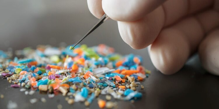 Araştırma: İnsan beynindeki mikroplastik oranı hızla artıyor