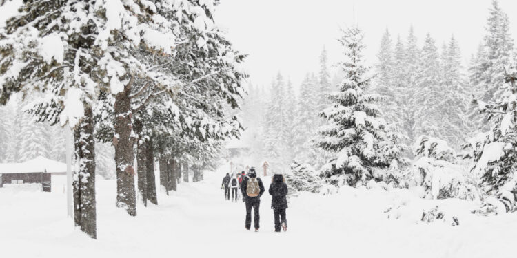 İstanbul’da hava durumu alarmı: Kar geliyor!