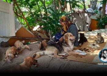 “Karşıdan yangını görmüşler, kimse müdahale etmemiş”