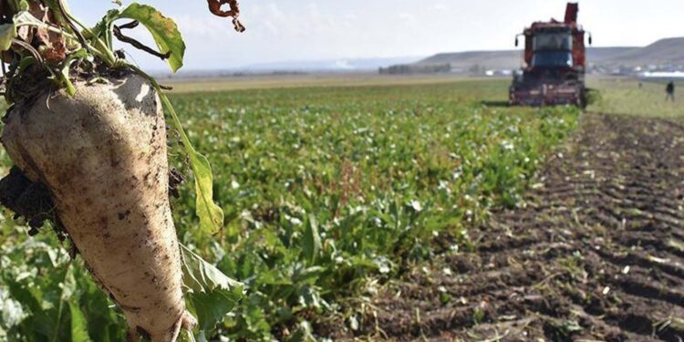 Kayseri Şeker, üreticilere 4 milyar 214 milyon lira pancar bedeli ödedi