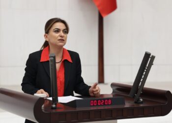 Koçyiğit: İmralı’dan gelecek çağrıyla komplocular kaybedecek Kürt-Türk ittifakı barışı kazanacak