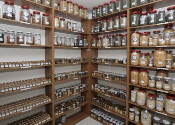 Muğla Büyükşehir Belediyesi, 2 milyon yerel tohumu toprakla buluşturacak