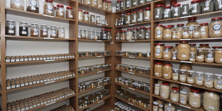 Muğla Büyükşehir Belediyesi, 2 milyon yerel tohumu toprakla buluşturacak