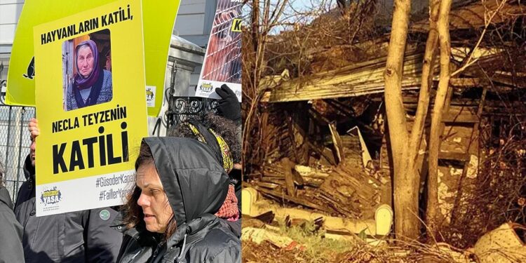 'Necla Teyze' için Adalet Eylemi