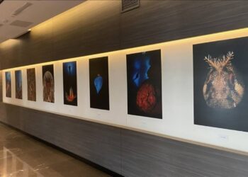 'Okyanusların Mirası' Sergisi Sanatseverlerle Buluştu