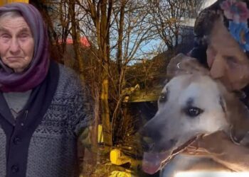 Ölümü Yüreğimizi Yakmıştı... Necla Teyzenin Komşuları Konuştu: 'Cinayete Kurban Gittiğini Düşünüyoruz'