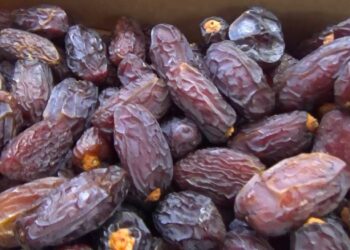Ramazan yaklaşırken hurmaya zam: Tanesi 20 liraya çıktı!