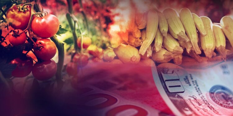 Rusya'ya Meyve Sebze İhracatında Karantina Alarmı! Bakanlıktan Talimat Gitti, En Üst Düzeyde...