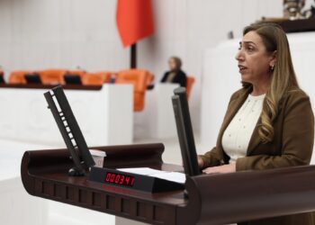 Saliha Aydeniz: Anadil hakkı pazarlık konusu yapılamaz