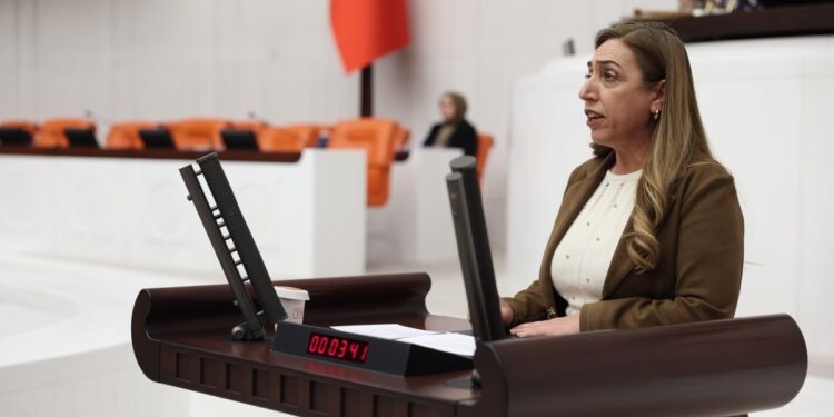 Saliha Aydeniz: Anadil hakkı pazarlık konusu yapılamaz