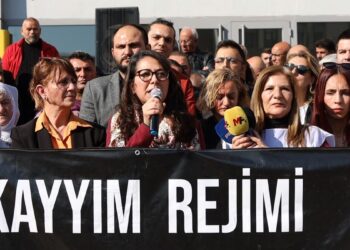 Sera Kadıgil: DEM Parti’nin belediye kazanması yasak