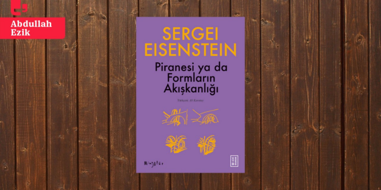 Formların Akışkanlığı: Sergey M. Eisenstein’den Piranesi’ye Bakışlar
