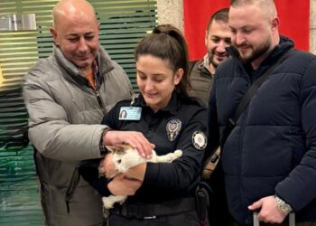 Vicdansızlığın Böylesi! Kedisini Araçta Bırakıp Yurt Dışına Çıktı