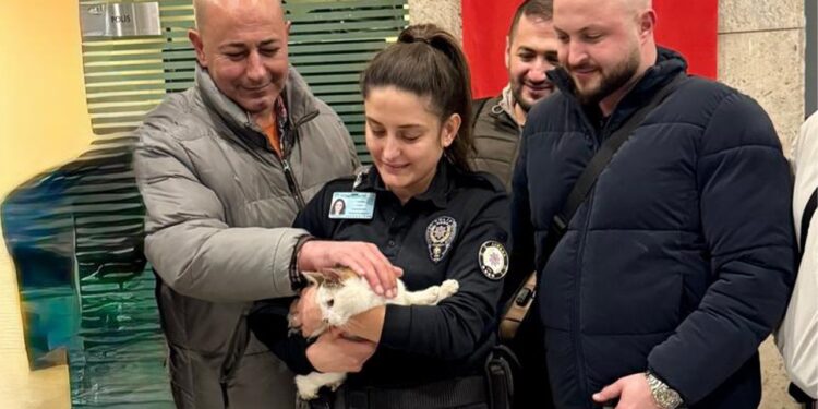 Vicdansızlığın Böylesi! Kedisini Araçta Bırakıp Yurt Dışına Çıktı