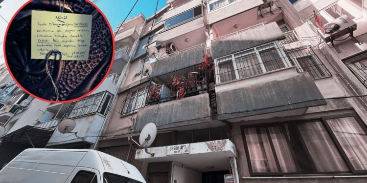 Yalnız Yaşadığı Evde Kemikleri Bulunmuştu: Tüyler Ürperten Olayda Skandal Detay