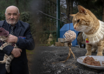 Yürekleri Isıtan Kedi Huzurevi, Kimi Bereli Kimi Yelekli