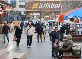 Amedliler: Adım atma sırası devlet ve Meclis’tedir
