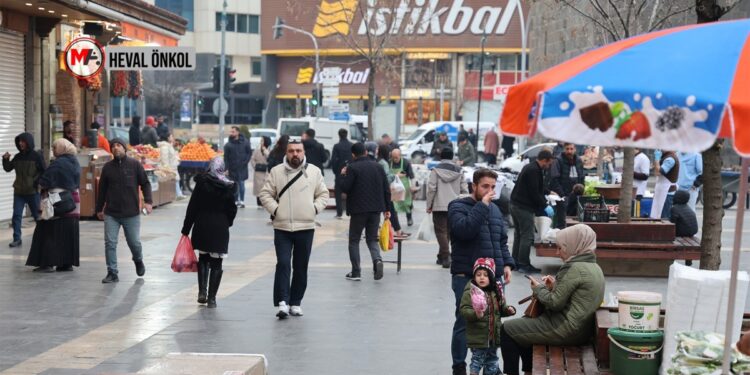 Amedliler: Adım atma sırası devlet ve Meclis’tedir