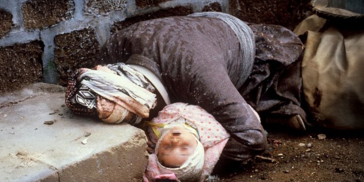 DBP: Halepçe Katliamı insanlığa karşı suç olarak kabul edilmeli