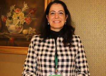 Ayla Akat Ata: Süreç tüm bileşenlerin kolektif hareket etmesini gerekli kılıyor