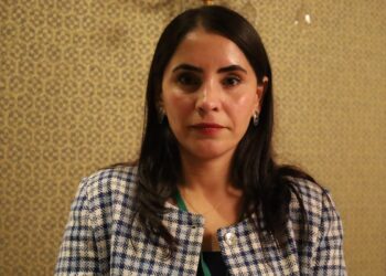 ‘Farklı kesimlerin süreçte inisiyatif alması çözümü kalıcılaştırır’