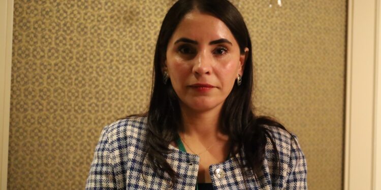 ‘Farklı kesimlerin süreçte inisiyatif alması çözümü kalıcılaştırır’