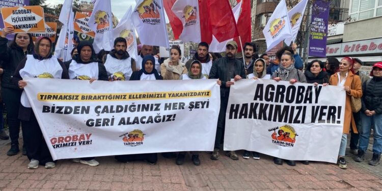 Agrobay işçileriyle dayanışma eylemine beraat