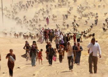Kaybedilen ve katledilen Êzidîlerin sayısı açıklandı