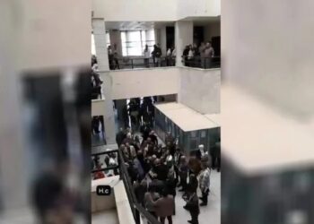 Şam iktidarı, yanında erkek olmayan kadınların resmi işlemlerini yapmıyor