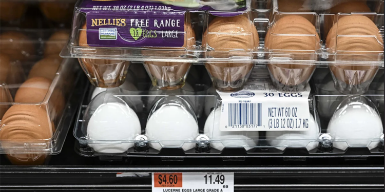 ABD ithalatı artıracağını duyurunca, Türkiye ‘yumurtaya’ vergi koydu