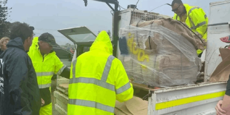 Alfred Siklonu Can Aldı