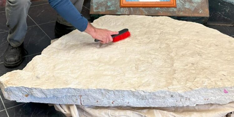 Bilim İnsanları Şaşkın! 200 Milyon Yıllık Kaya Parçasında Keşfedildi, Tam 66 Tane