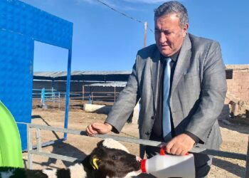 CHP’den İthalat Tepkisi, ‘Sektör Zora Giriyor’