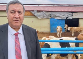 CHP'li Gürer'den Meclis'e 'Hayvancılık Sorunları' Çağrısı