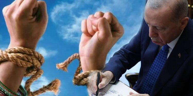 Cumhurbaşkanı'ndan 8 Mart Genelgesi! 'Kadını Güçlendirme Kurulu' Kuruldu: Kadın Hakları İçin Yeni Politikalar Yolda