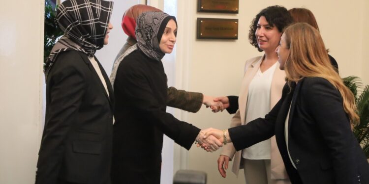 DEM Parti Kadın Meclisi AKP Heyeti ile Meclis’te bir araya geldi