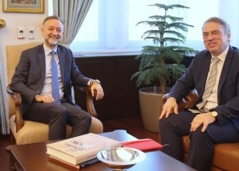 Dışişleri Bakan Yardımcısı Gümrükçü’den Çarpıcı Temas