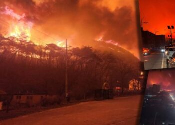 Güney Kore'de Yangın Felaketi! Giderek Büyüyor, Bilanço Ağırlaşıyor