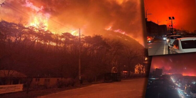 Güney Kore'de Yangın Felaketi! Giderek Büyüyor, Bilanço Ağırlaşıyor