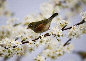 Hafta sonu hava nasıl olacak?