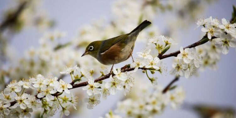 Hafta sonu hava nasıl olacak?