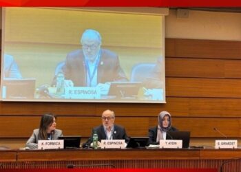 IJA: Basın özgürlüğünü tehdit eden 'dijital sansür' tehlikesini BM taşındı
