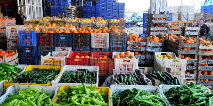 İhracatta "özel analiz" sorunu; fiyatlar 3 katına çıktı!